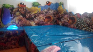 Snoezelcentrum aquariumtrilwaterbed