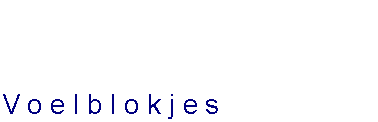 Tekstvak: Voelblokjes