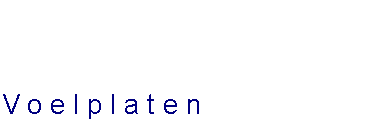 Tekstvak: Voelplaten